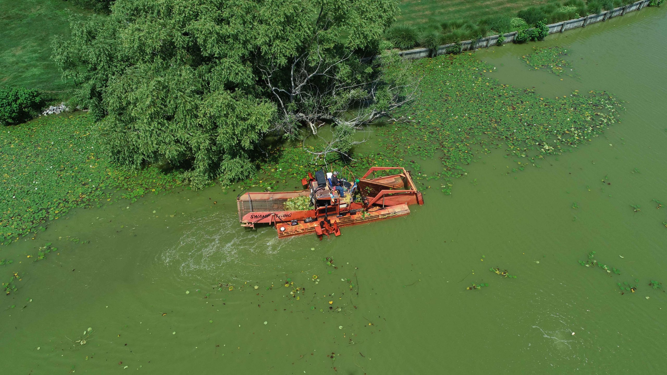 lily harvester at work in lake agawam