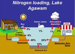 nittrogen loading graphically illustrated