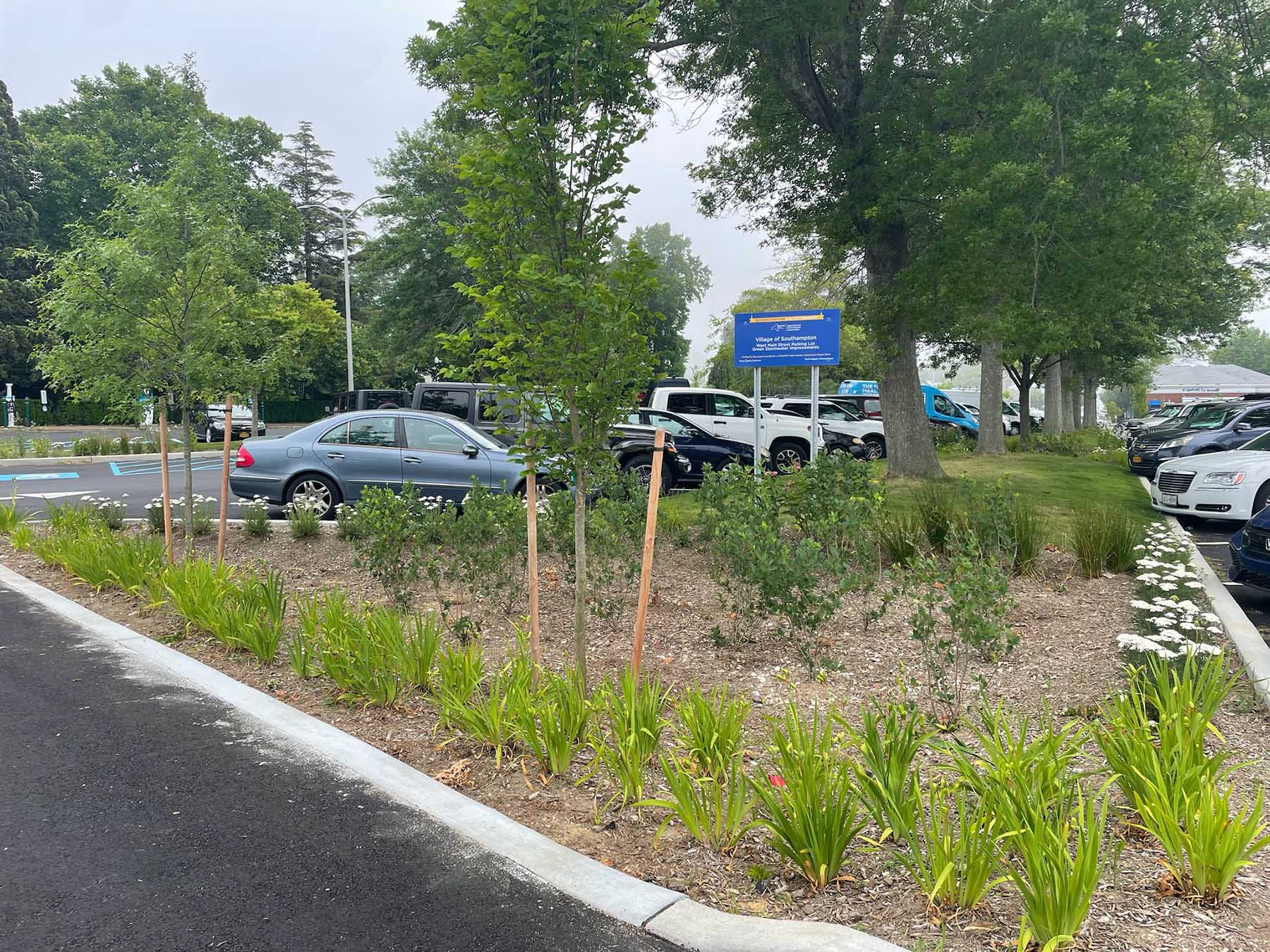 West Main Street Bioswales