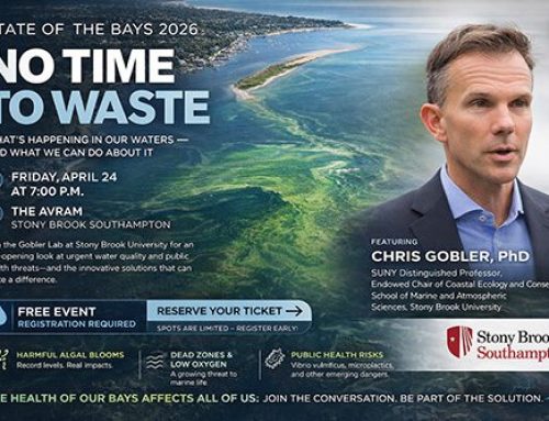 Testing the Waters / No Time to Waste