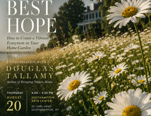 Douglas Tallamy Talk Invite